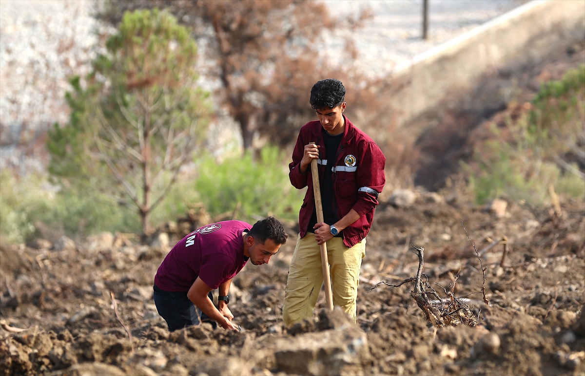 Hatay ve Kilis'te bir günde 44 bin 50 fidan toprakla buluşturulacak