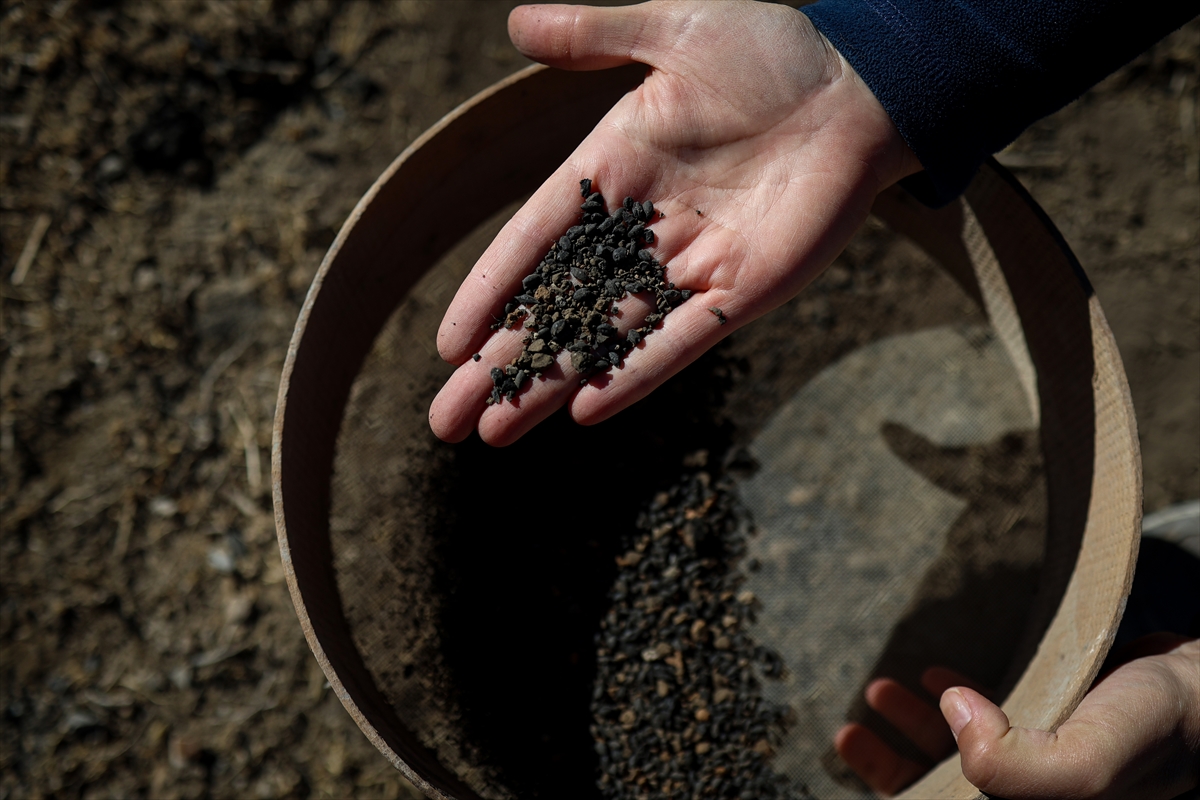Van'daki kazılarda 5 bin yıllık olduğu değerlendirilen karbonlaşmış arpa taneleri bulundu