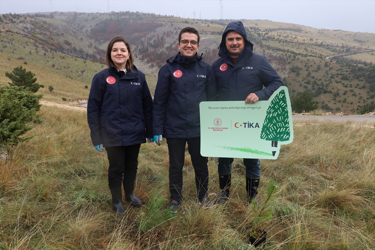 TİKA'dan Bosna Hersek'te ağaçlandırma çalışmalarına destek