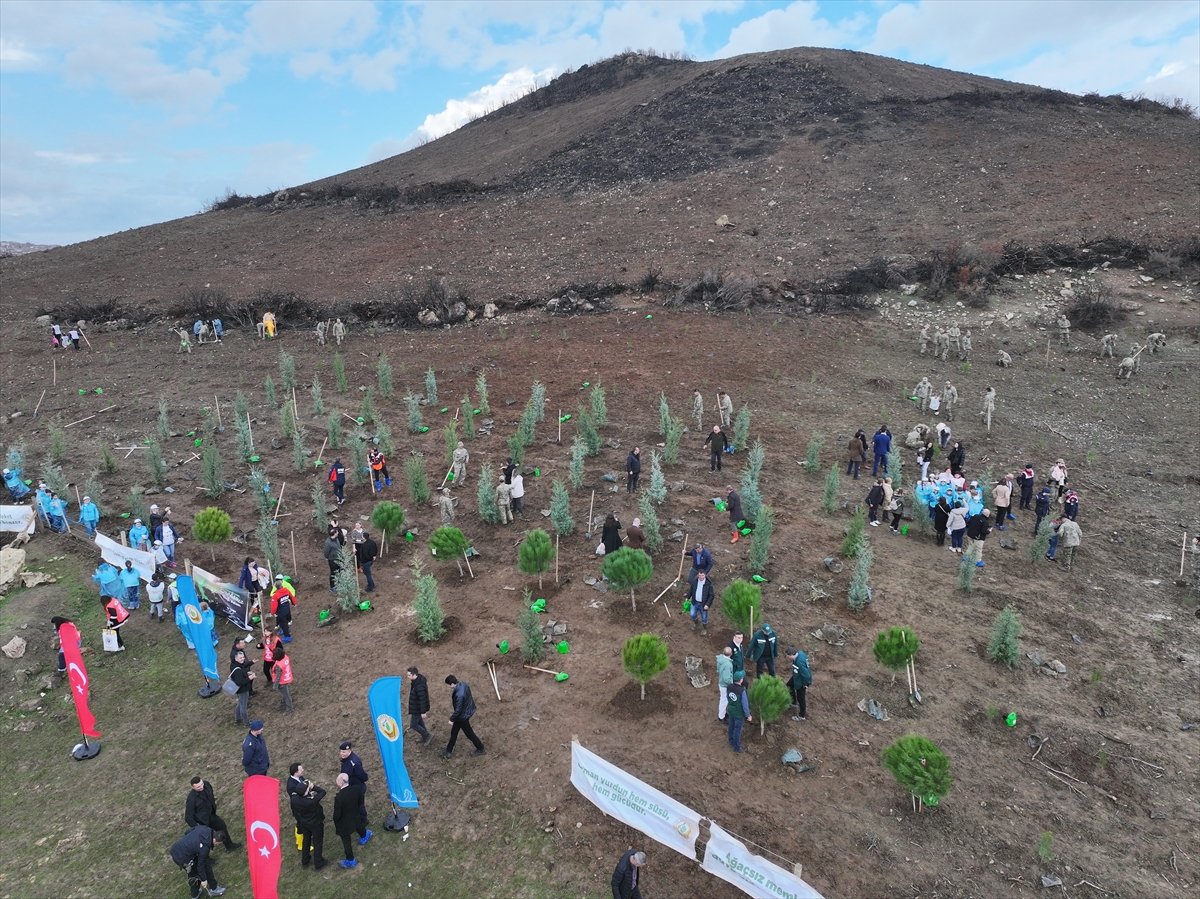 Trakya'da "Milli Ağaçlandırma Günü" dolayısıyla fidanlar toprakla buluşturuldu