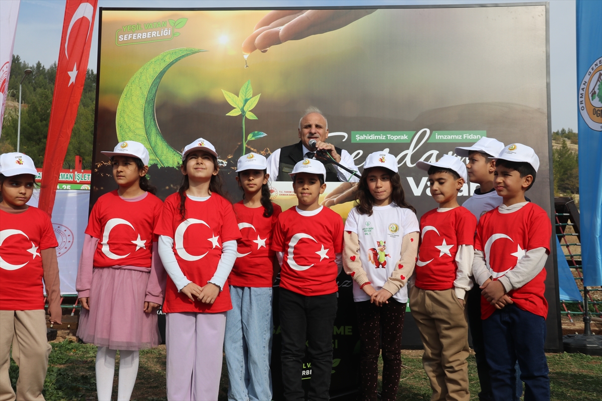 Diyarbakır, Batman ve Siirt'te fidanlar toprakla buluşturuldu