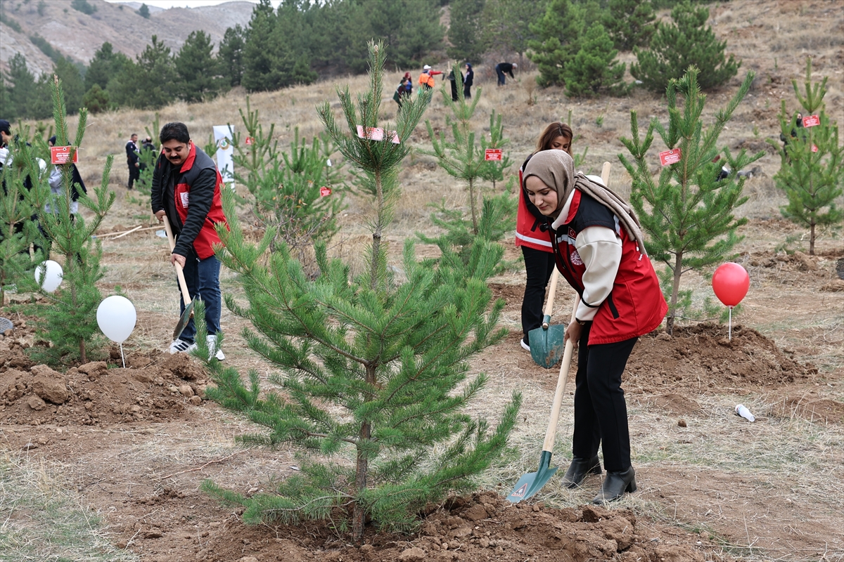 İç Anadolu'da fidanlar toprakla buluşturuldu