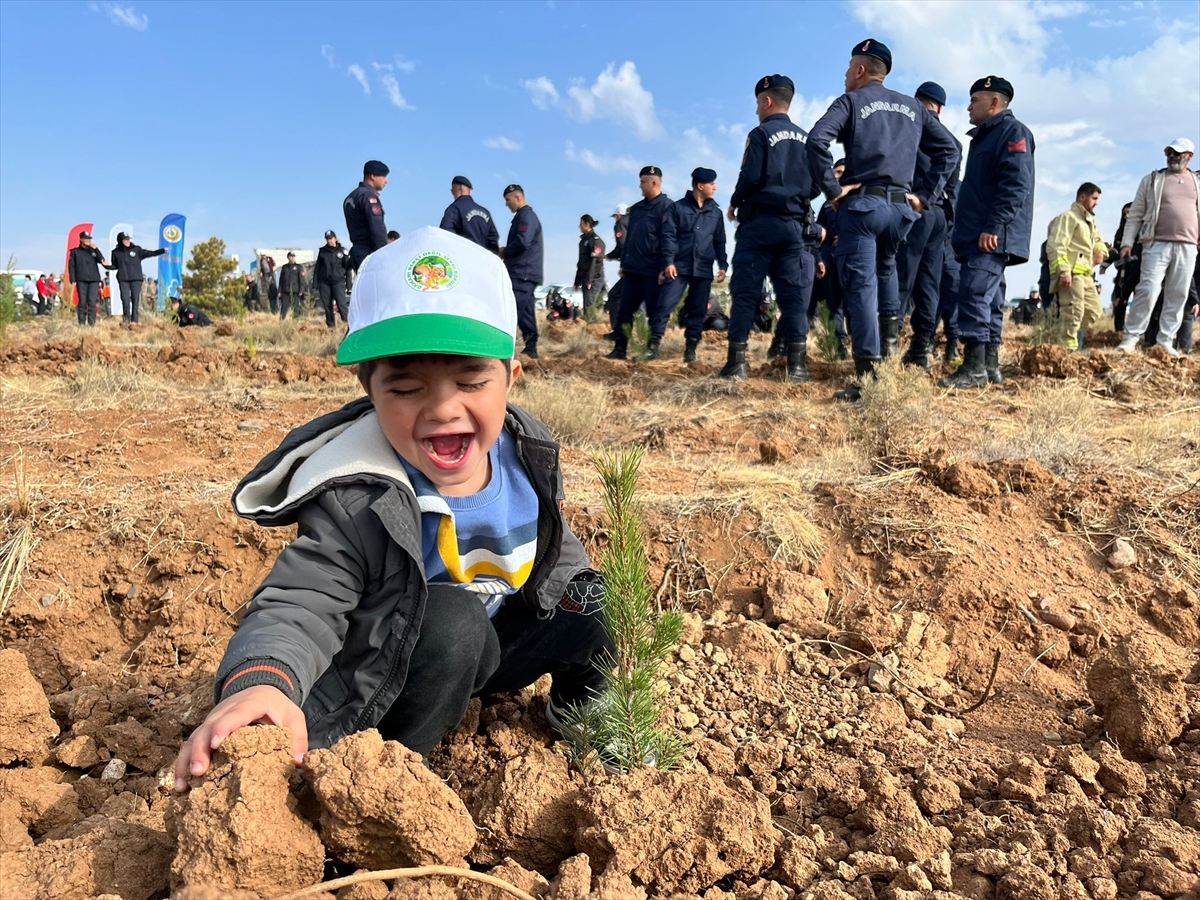 Konya ve çevre illerde fidanlar toprakla buluşturuldu