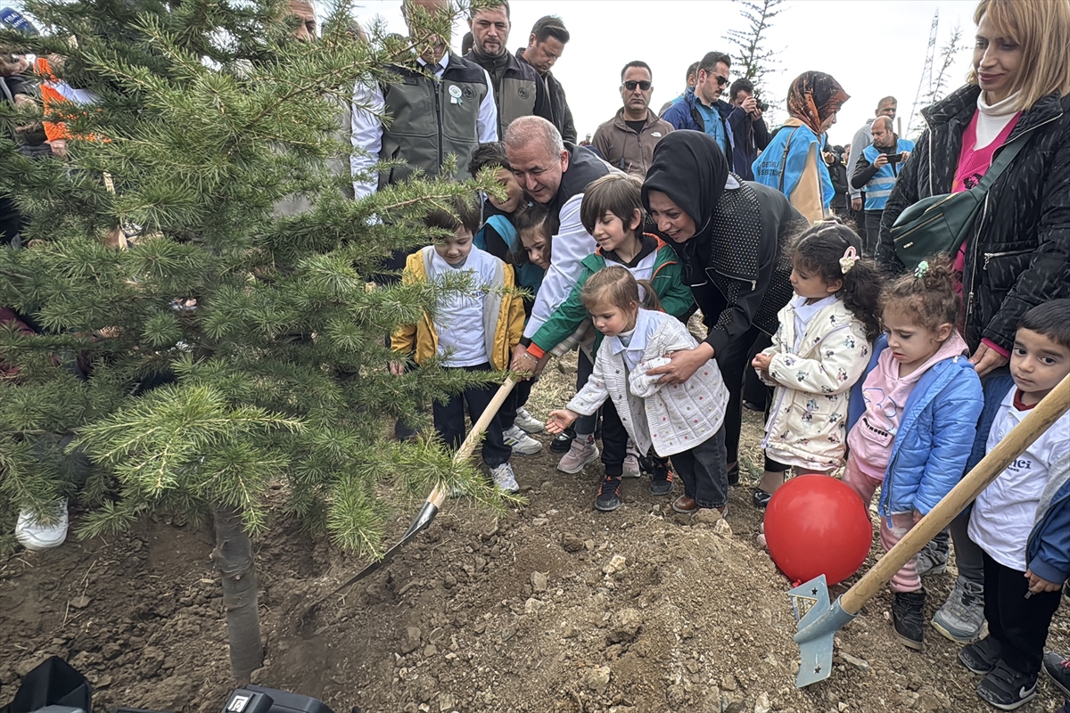 Elazığ, Şırnak ve Bingöl'de fidanlar toprakla buluşturuldu