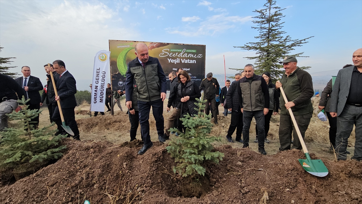 Samsun ve çevre illerde "Milli Ağaçlandırma Günü" dolayısıyla fidan dikimi yapıldı