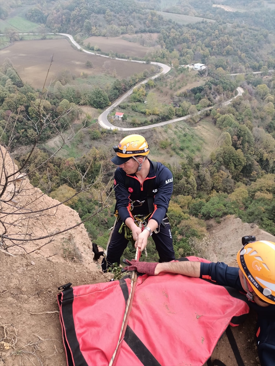 Bursa'da kayalıkta mahsur kalan keçi kurtarıldı