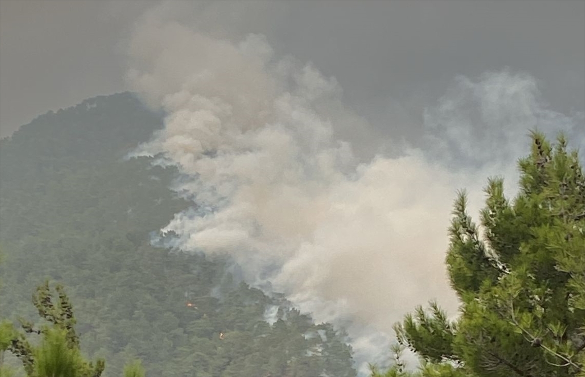 Hatay'da 2 farklı noktada çıkan orman yangınlarına müdahale ediliyor