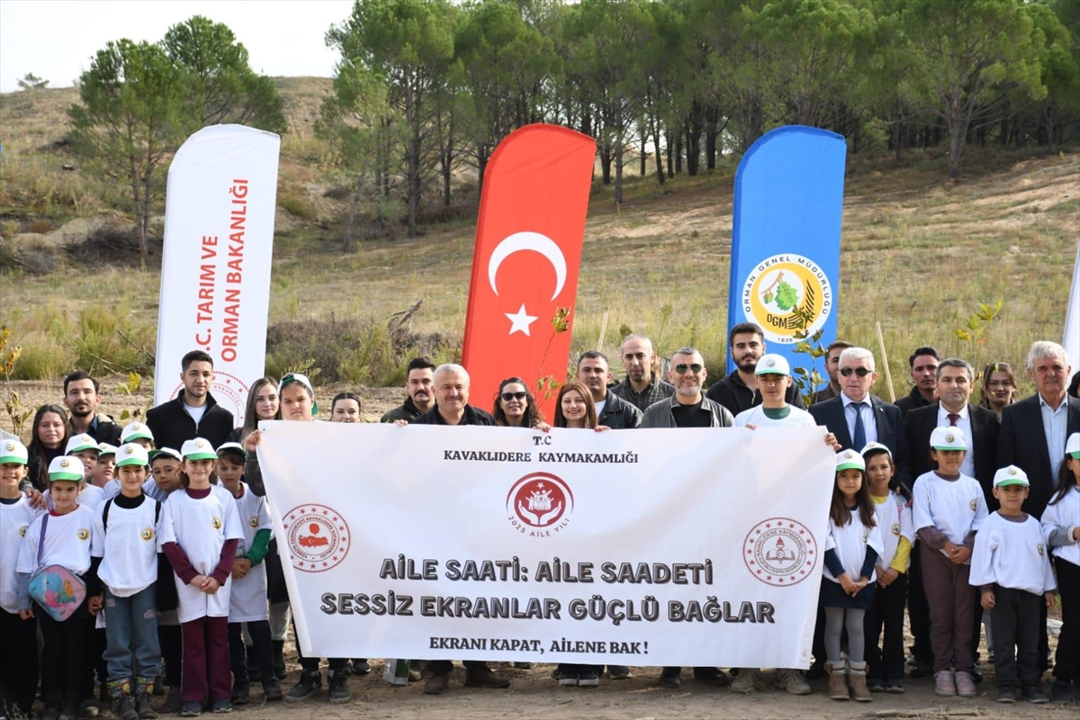 Muğla'da 11.11'de 11 çift, "Ailem Bir Fidan" diyerek 11 çınar fidanı dikti
