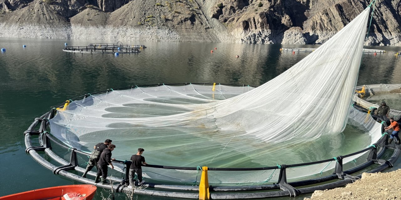 Artvin'de yetiştirilen Türk somonu 67 ülkeye ihraç ediliyor, bölge ekonomisine ve istihdama katkı sağlıyor