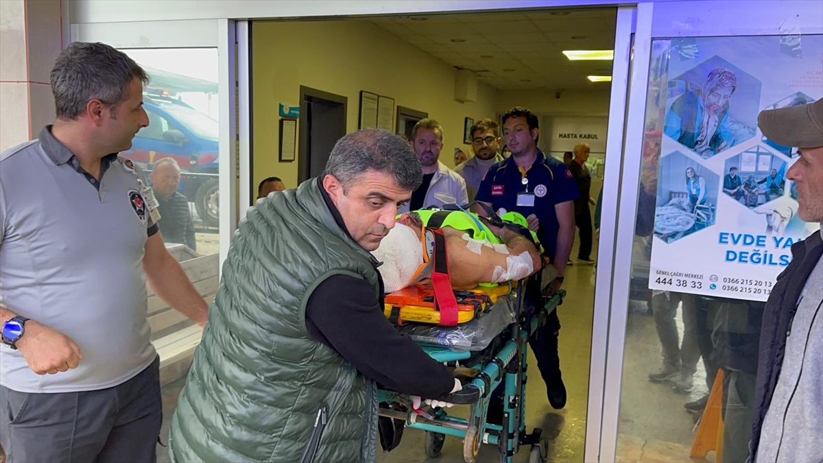 Kastamonu'da mantar toplarken ayı saldırısına uğrayan köy imamı yaralandı