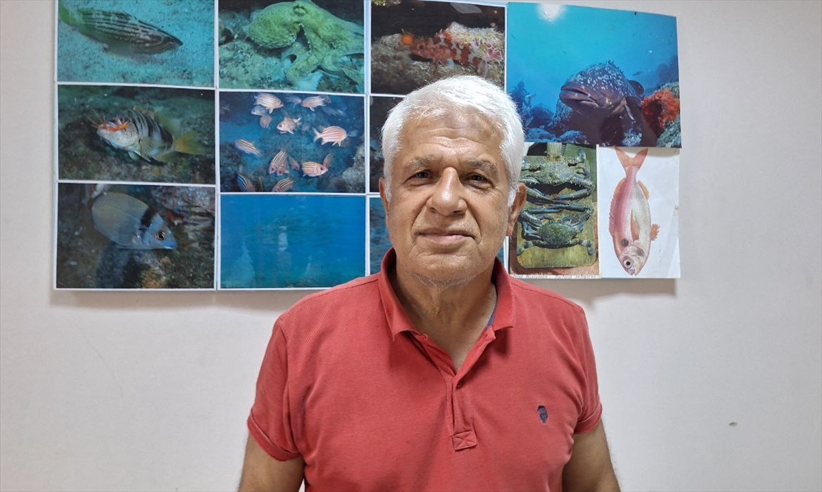 Yerli balıkları korumak için "yabancı türler ekonomiye kazandırılsın" önerisi