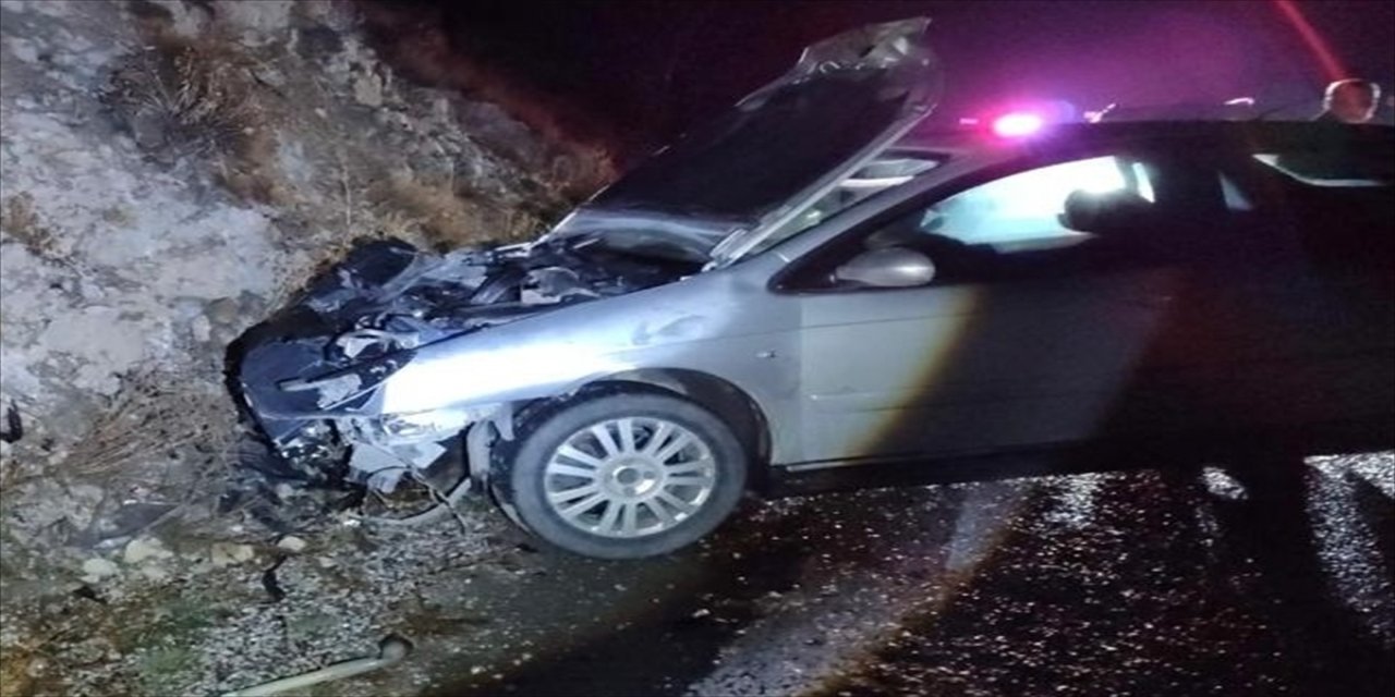 Erzincan’da otomobil bozayıya çarptı: 1 yaralı, ayı öldü