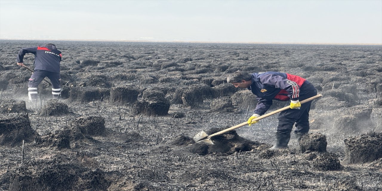 Hakkari'de Nehil Sazlığı'nda çıkan yangın söndürüldü, 200 kuş türü etkilendi