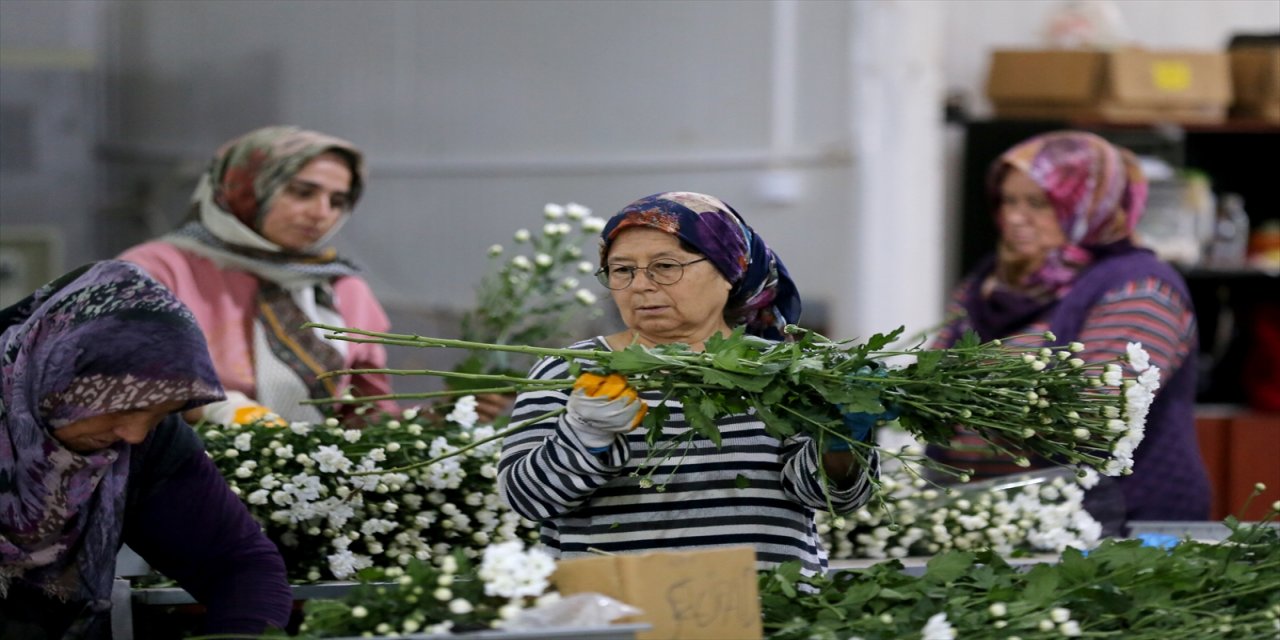 Süs bitkileri ihracatı 10 ayda 137 milyon dolara ulaştı