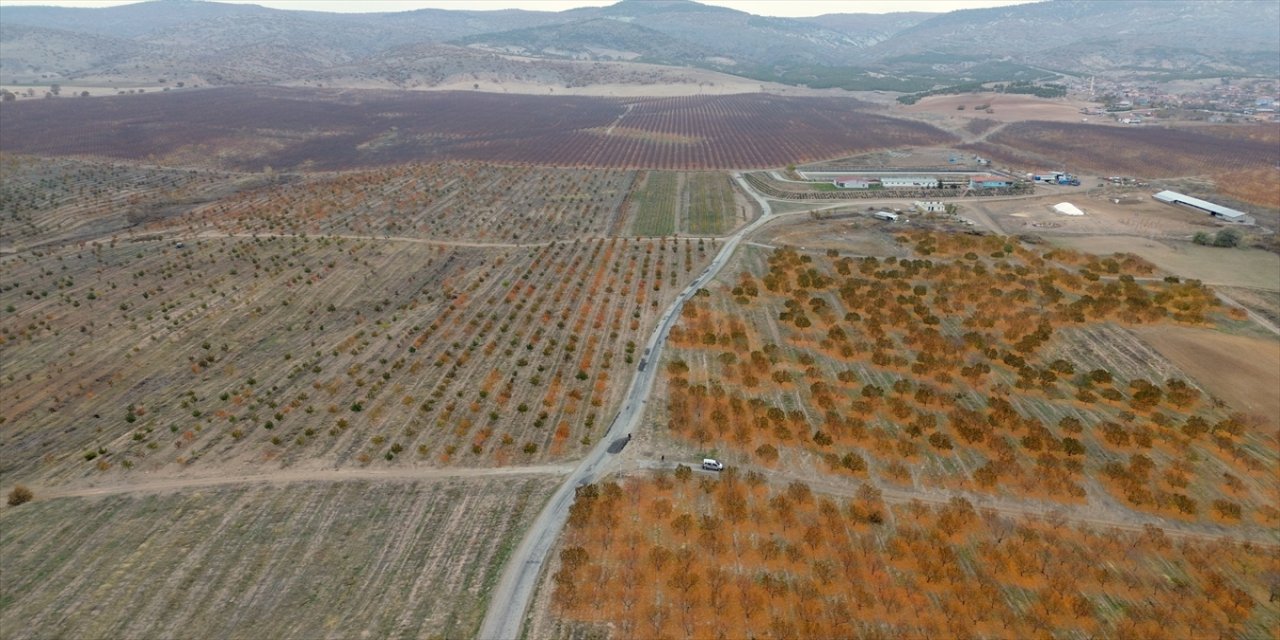 Yozgat’ta Zirai Don Zararını TARSİM Ödedi, 5 Bin Dönümlük Meyve Bahçesi Faaliyetine Devam Ediyor