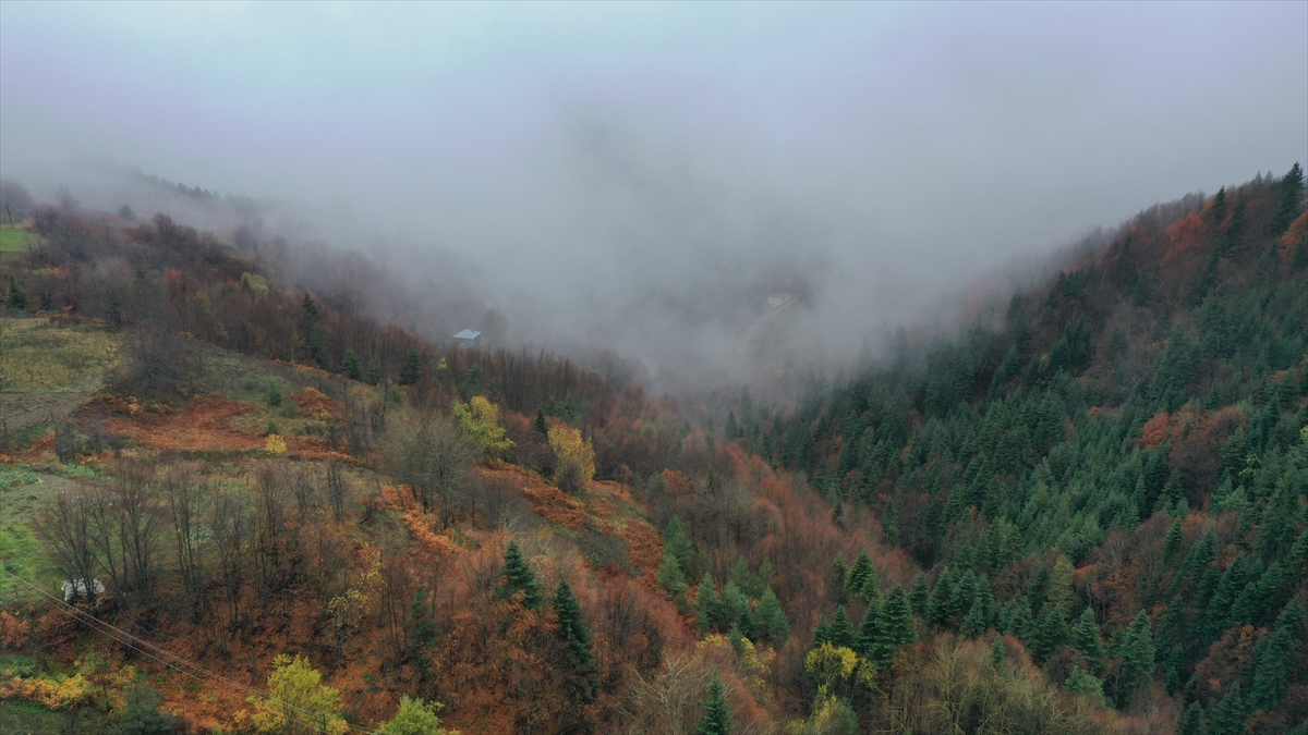 Kastamonu'da sisle birleşen güz renkleri dronla görüntülendi