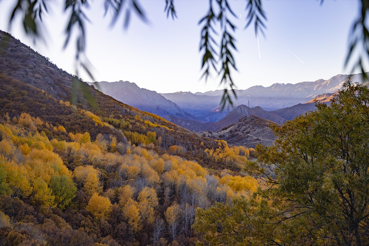 Tunceli'nin Salördek ormanları sonbaharda doğayla buluşmak isteyenleri ağırlıyor