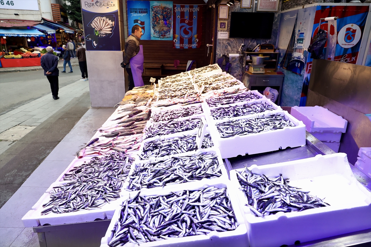 Trabzon'daki balıkçı tezgahlarında hamsinin kilogramı 75 liradan satılıyor