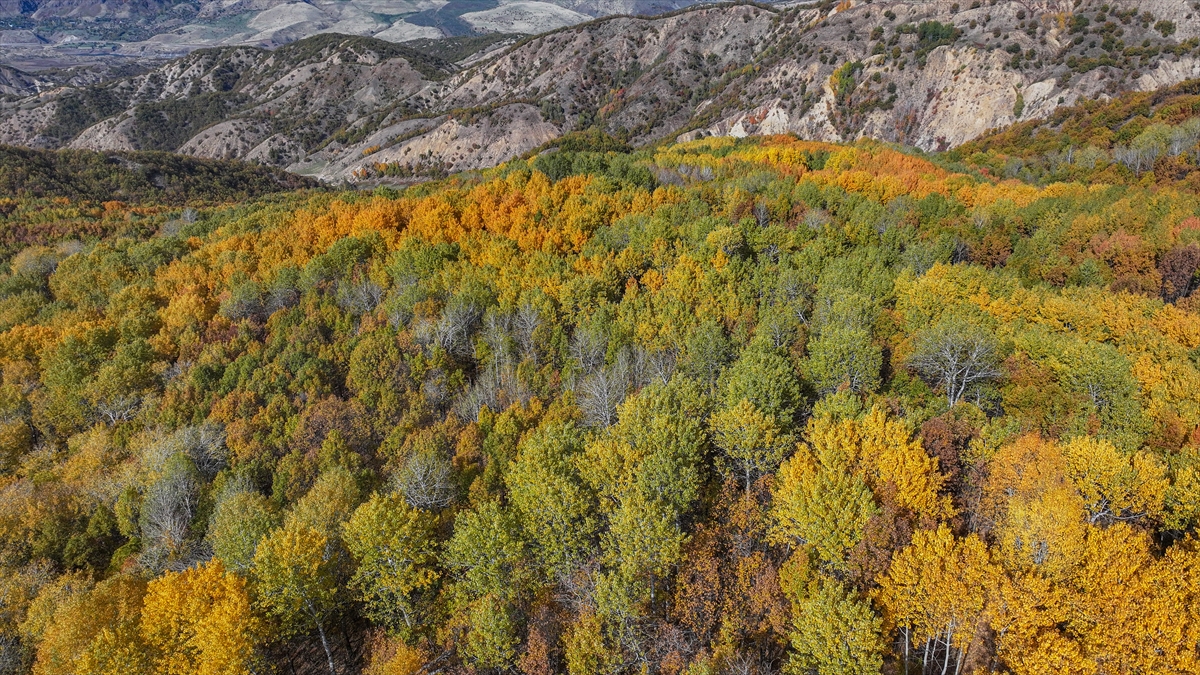 Diyarbakır'ın Kulp ilçesindeki sonbahar renkleri dronla görüntülendi