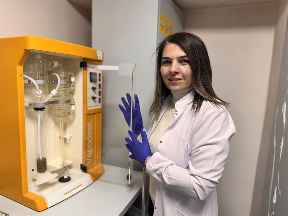 Balığın tazelik derecesini gösteren ölçüm cihazına "buluş" tescili