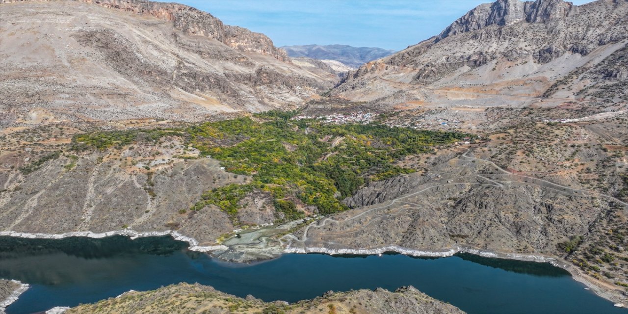 Diyarbakırlı kadınların geleneksel nar ekşisi mesaisi başladı