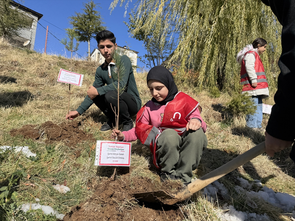 Hakkari'de Türkiye ve Gazze'deki şehitler anısına fidan dikildi