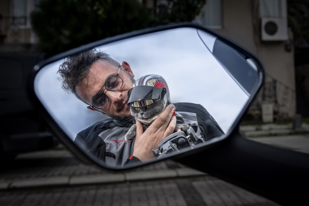 Motosikletli kedi "Gofret" İstanbul sokaklarında ilgi odağı oldu