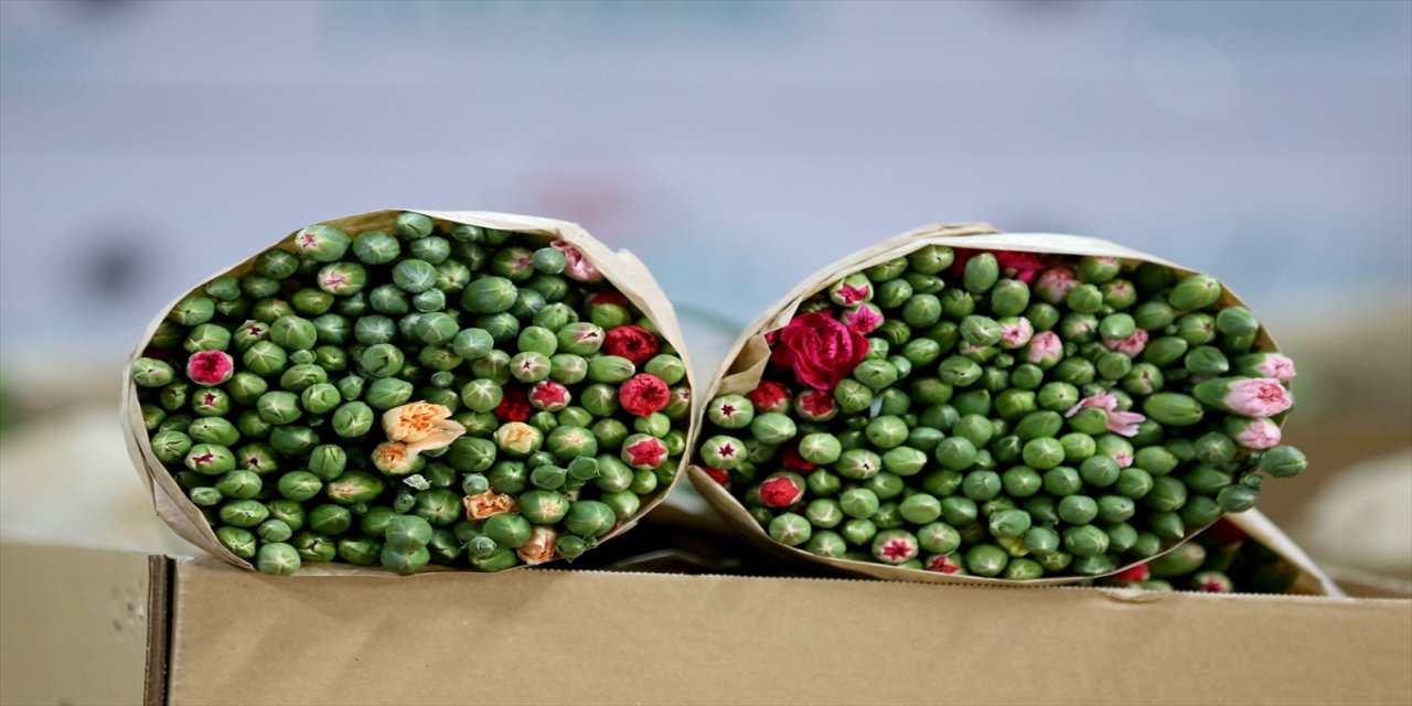 Süs bitkileri ihracatında çeşitlilik arttı: Karanfilin yanına 10’dan fazla tür eklendi