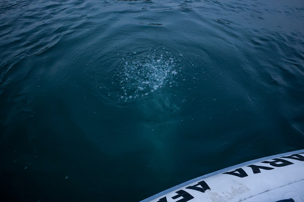 Sapanca Gölü'nde oluşan kabarcıklar su kalitesine zarar vermiyor