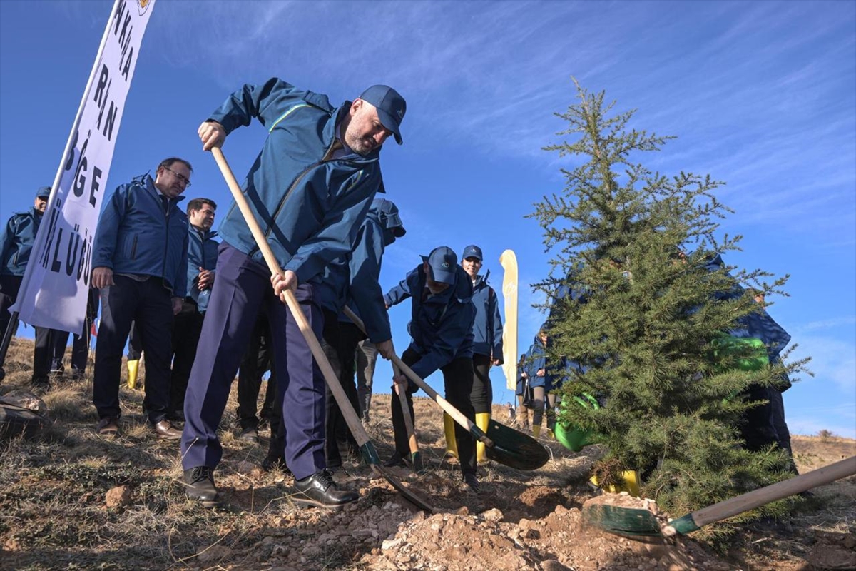 PTT AŞ 185. kuruluş yıl dönümünde 4 bin 185 fidanı toprakla buluşturdu