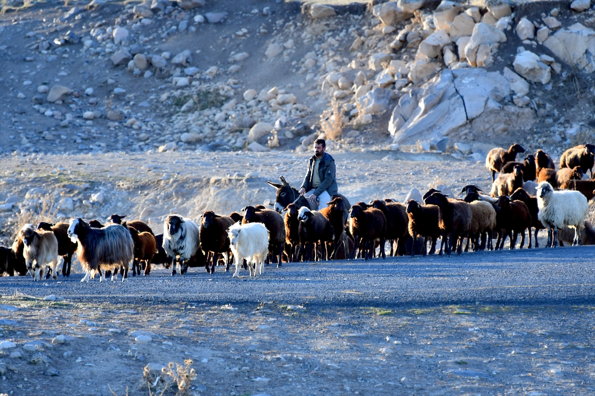 Kars yaylalarındaki göçerlerin dönüş yolculuğu devam ediyor