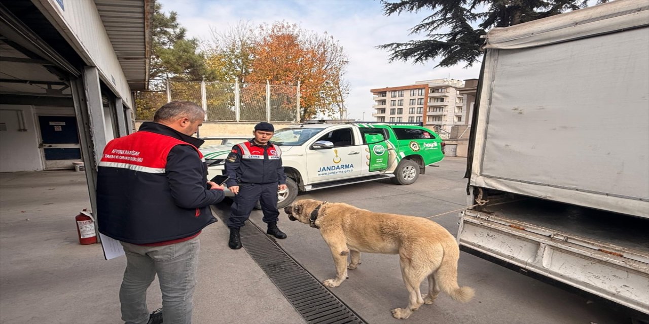 Afyonkarahisar’da jandarma dron destekli operasyonla gerçekleştirildi