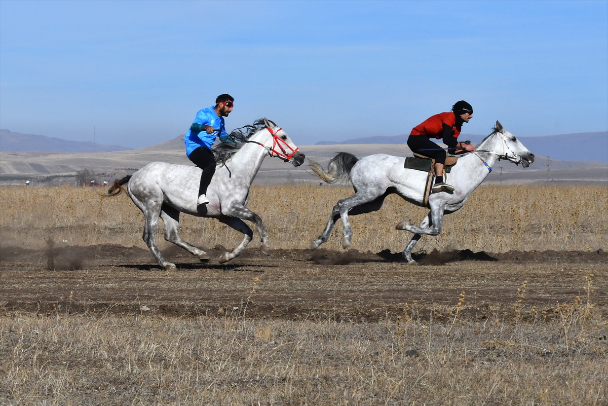 Kars'ta cirit ve at yarışlarında sporcular kıyasıya mücadele etti