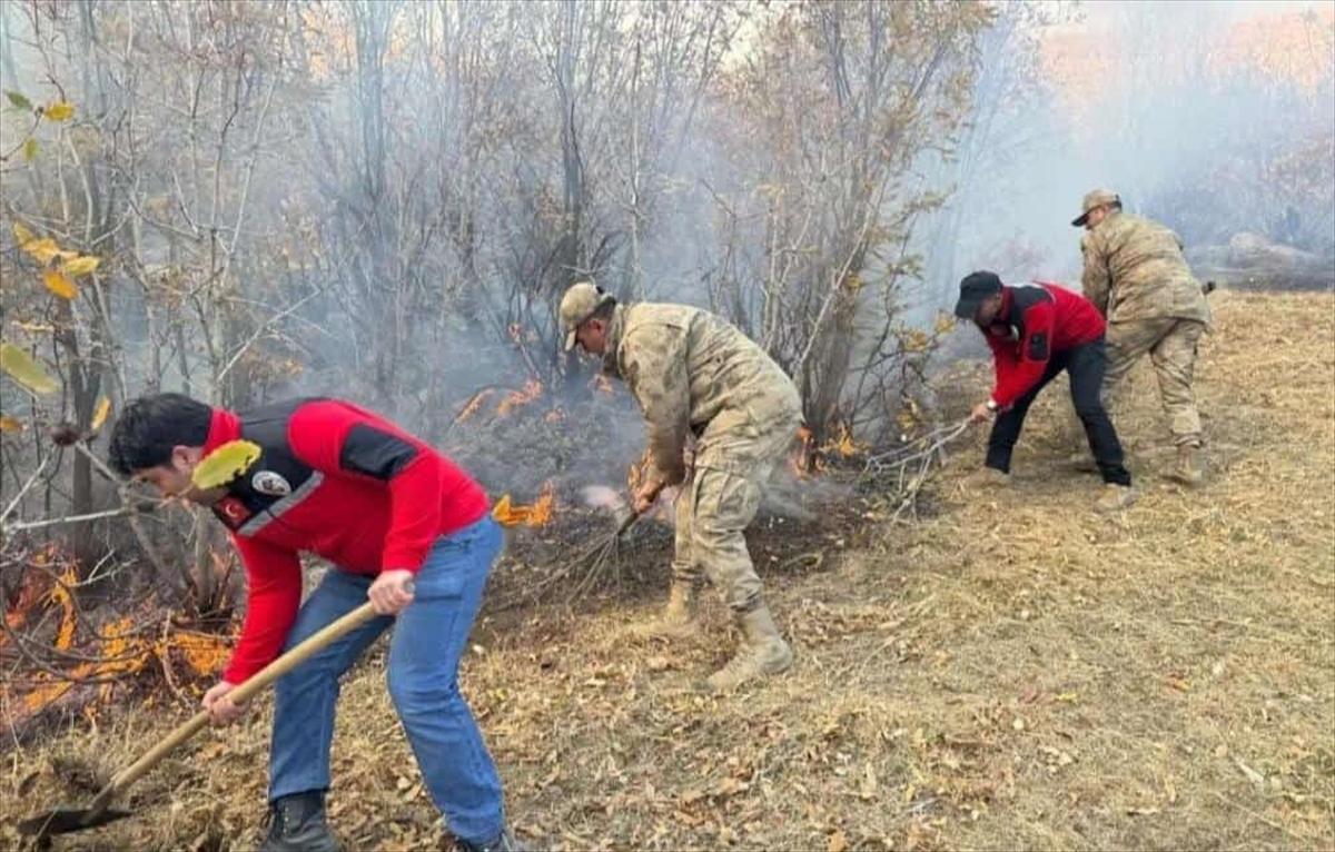 Hakkari'de ağaçlık alanda çıkan yangın kontrol altına alındı
