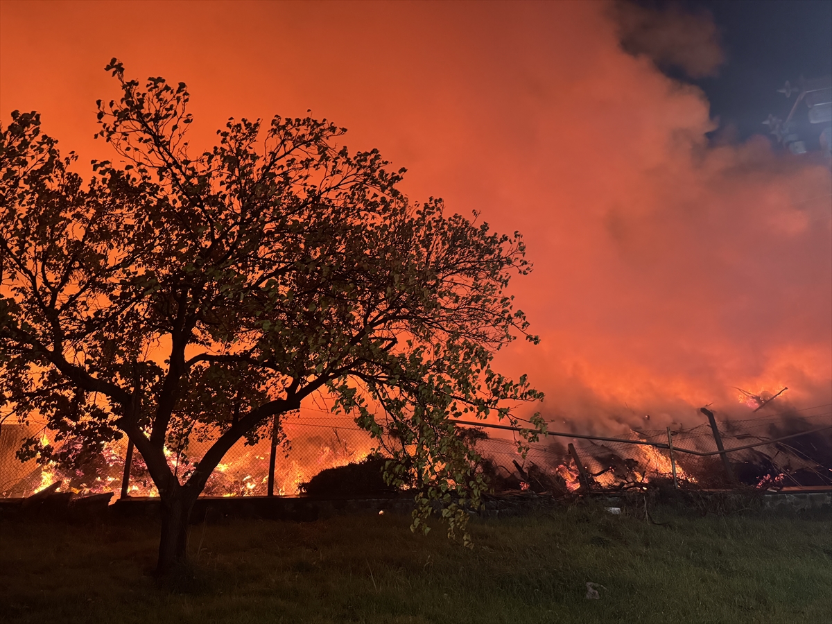 İzmir'de çöp depolama alanında çıkan yangın kontrol altına alındı