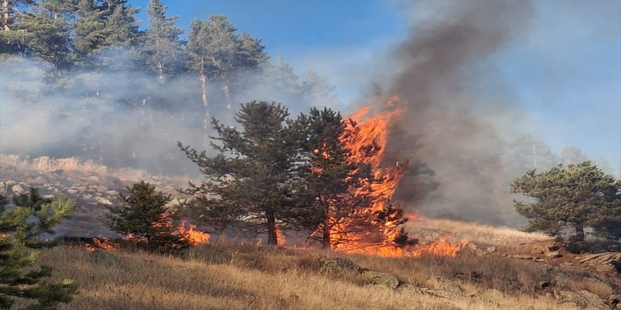 Erzurum Şenkaya’daki üç noktada çıkan orman yangınlarından ikisi kontrol altına alındı