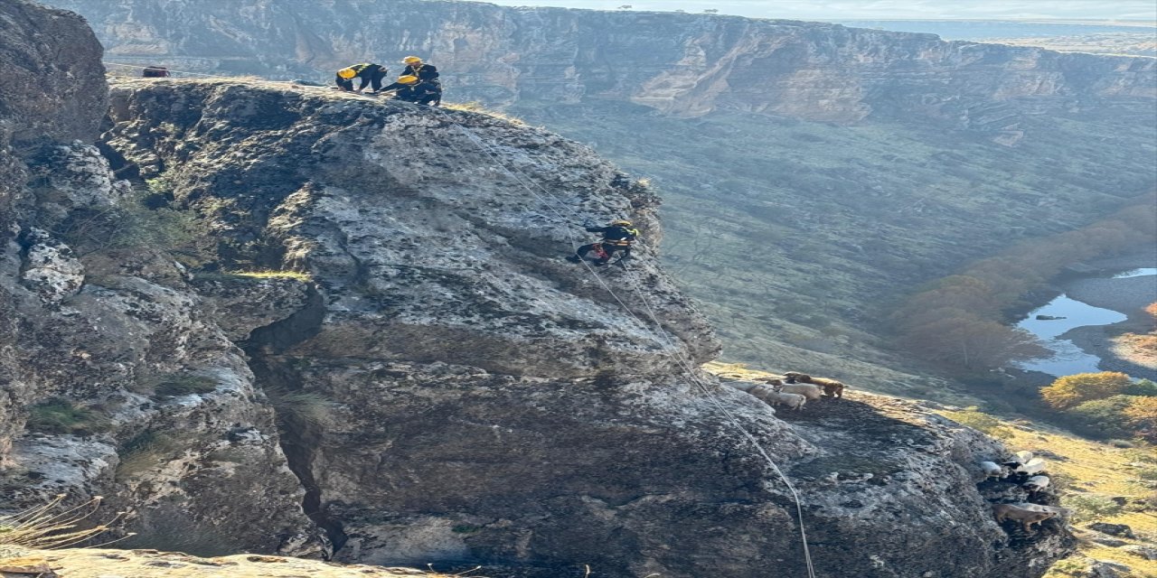 Diyarbakır Eğil’de kayalıklarda mahsur kalan 25 keçi itfaiye ekiplerince kurtarıldı
