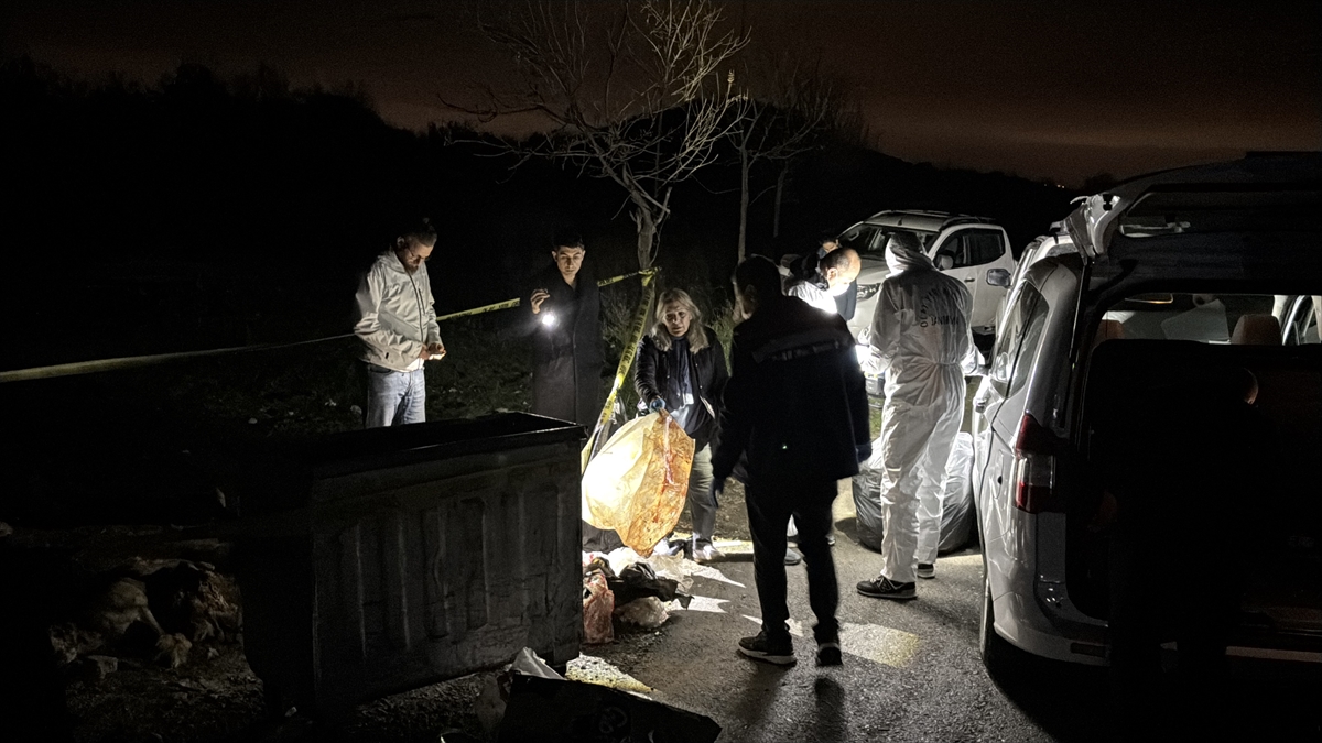 Samsun İlkadım’da 9 köpeğin ölü bulunmasıyla ilgili soruşturma başlatıldı