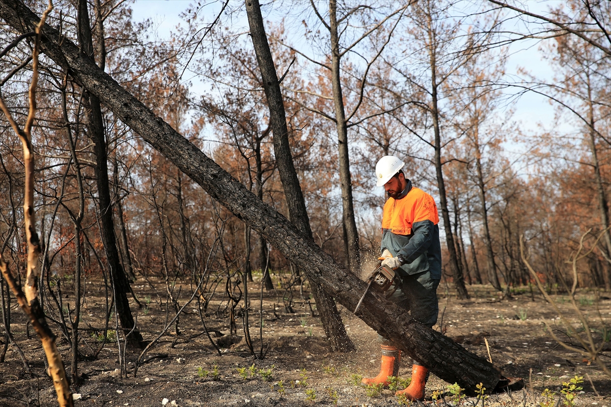 "Alev savaşçıları" bu kez fidan dikimi için sahada