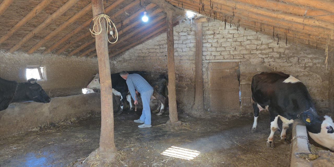 Aksaray’da çiftçinin süt makinesi sesiyle yanına gelen kirpiyle kurduğu sıra dışı dostluk ilgi çekiyor