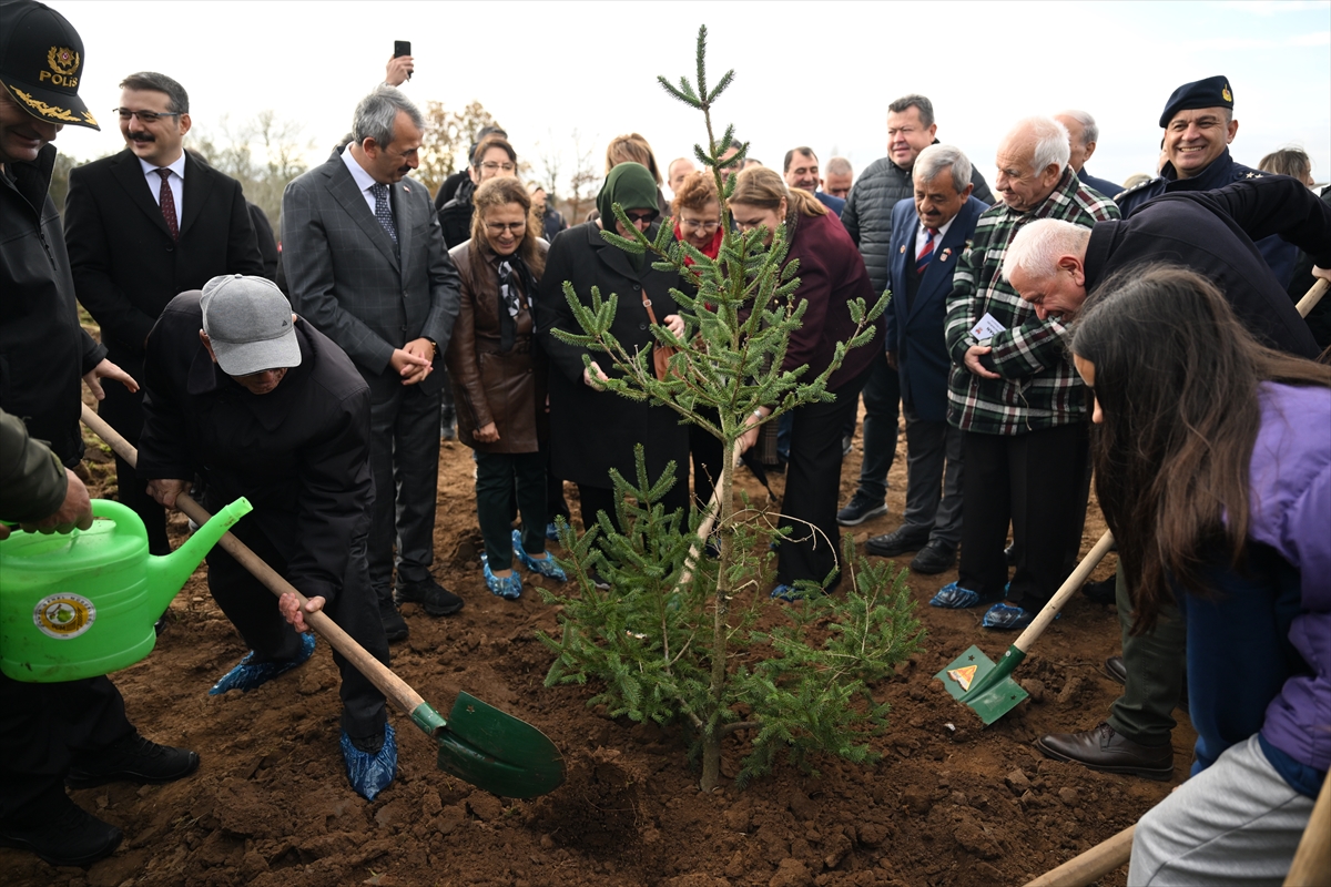 Edirne'de şehitler anısına 500 fidan dikildi
