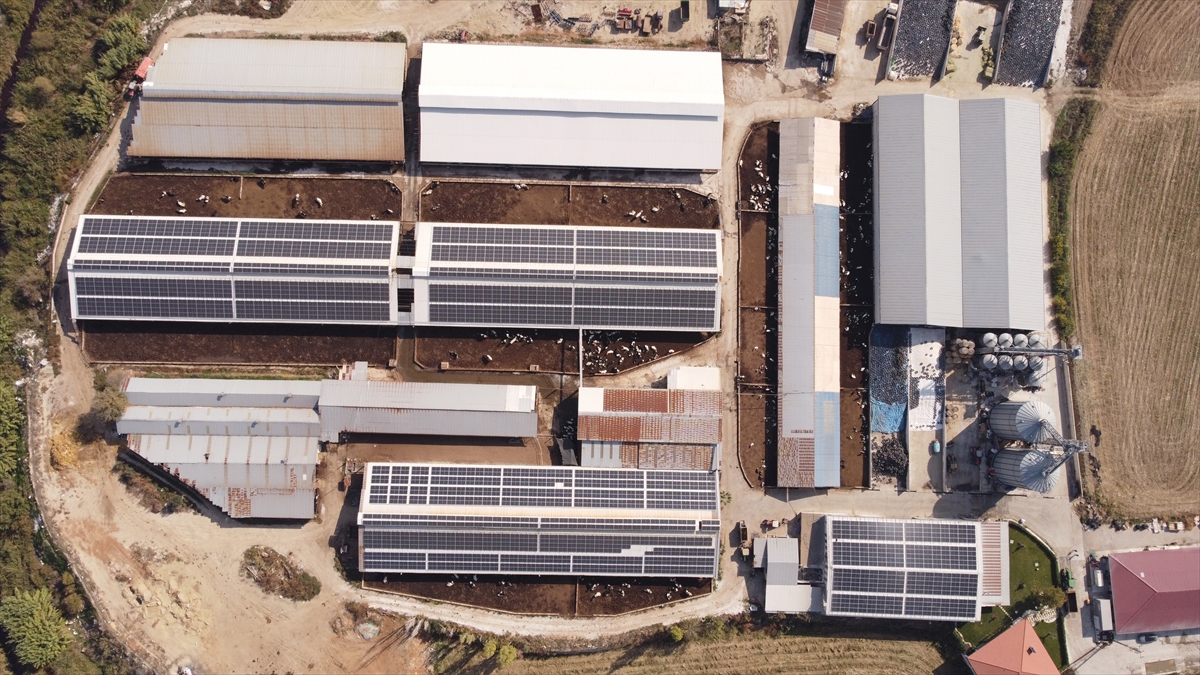 Tarım Orman Gençlik Konseyi, tarımın geleceğini şekillendiren gençlere rehber oluyor