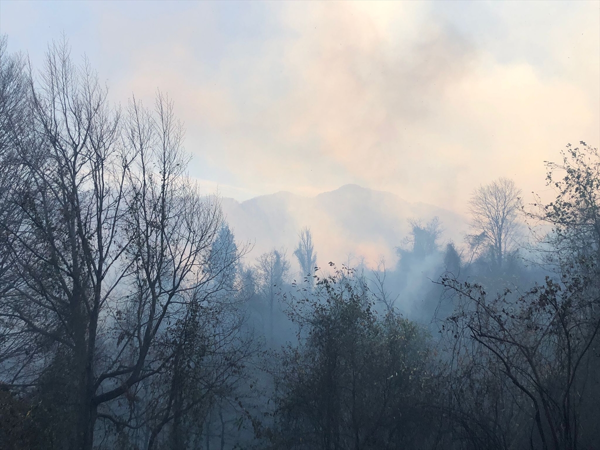 Artvin'de örtü yangınına müdahale ediliyor