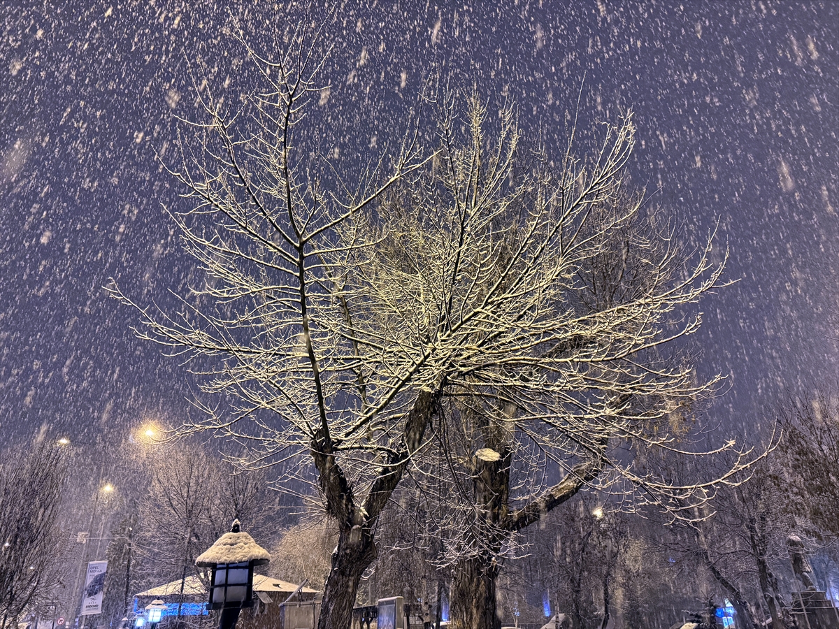 Ardahan kent merkezine mevsimin ilk karı yağdı