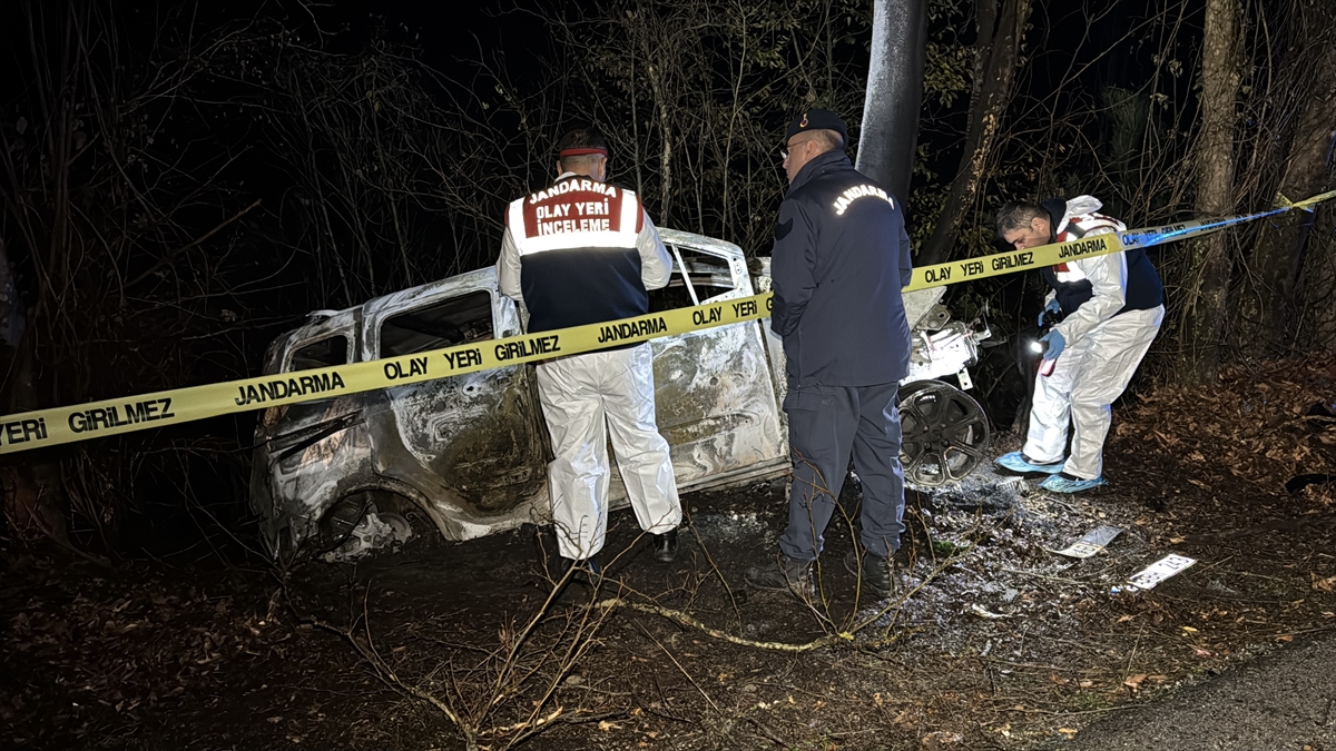 Karabük'te ağaca çarpan hafif ticari aracın sürücüsü öldü