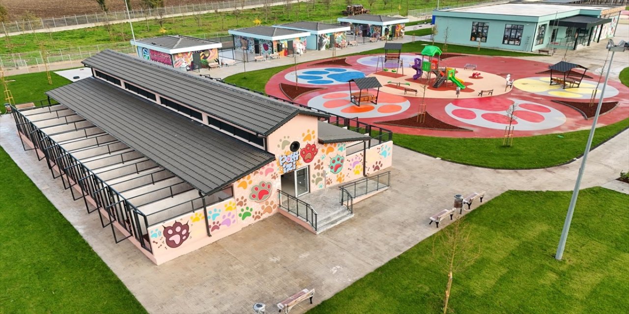 Sakarya'da Avrupa standartlarında Sokak Hayvanları Doğal Yaşam Kampüsü açıldı.