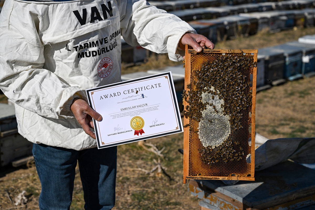 Van'ın verimli yaylalarında üretilen bal Azerbaycan'da "Altın Bal" ödülüne layık görüldü