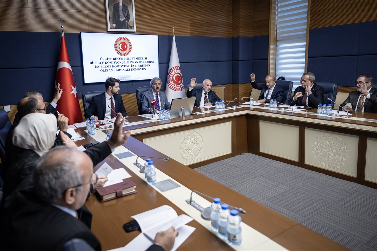 TBMM'de 3 kamu denetçisi adayı belirlendi