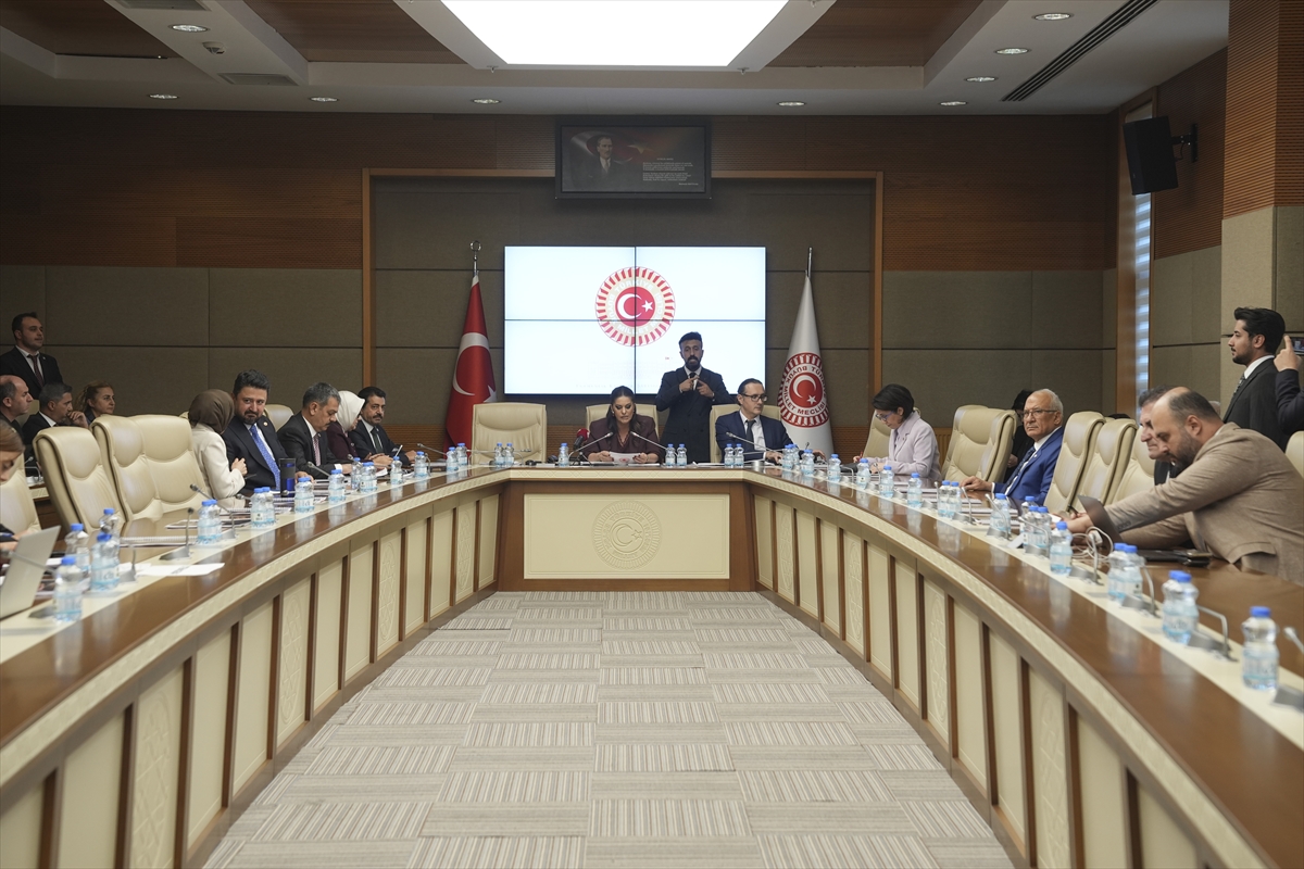 TBMM Engelli Bireylerin Sorunlarını Araştırma Komisyonu toplandı