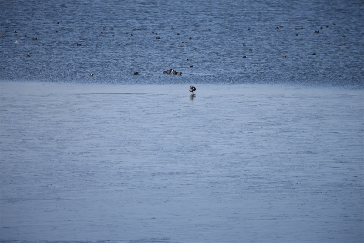 Meraklılarına Duyurulur. Çıldır Gölü'nün yüzeyi donmaya başladı